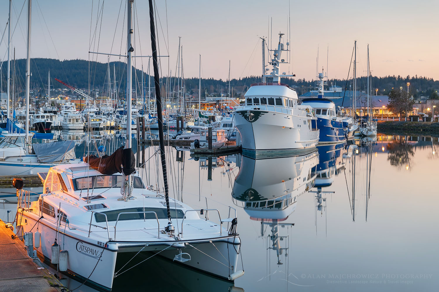 Pleasure boats moored in Cape Sante Marina, Anacortes, Washington #70821