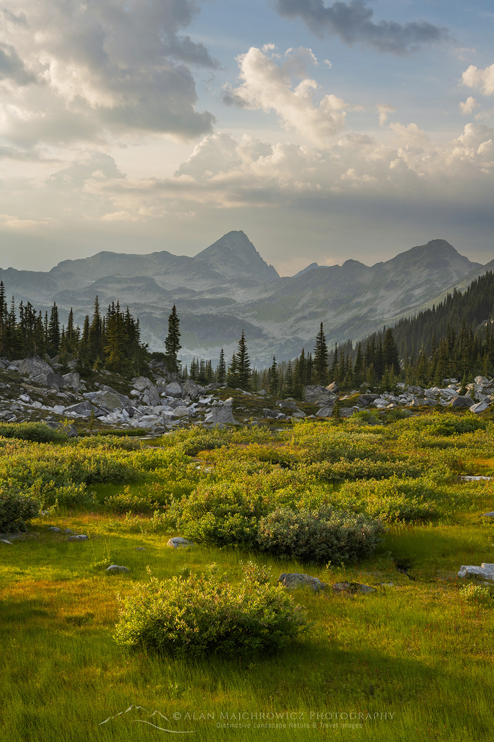 Dramatic clouds over alpine meadows below Mount Rohr. Coast Range, British Columbia #87135
