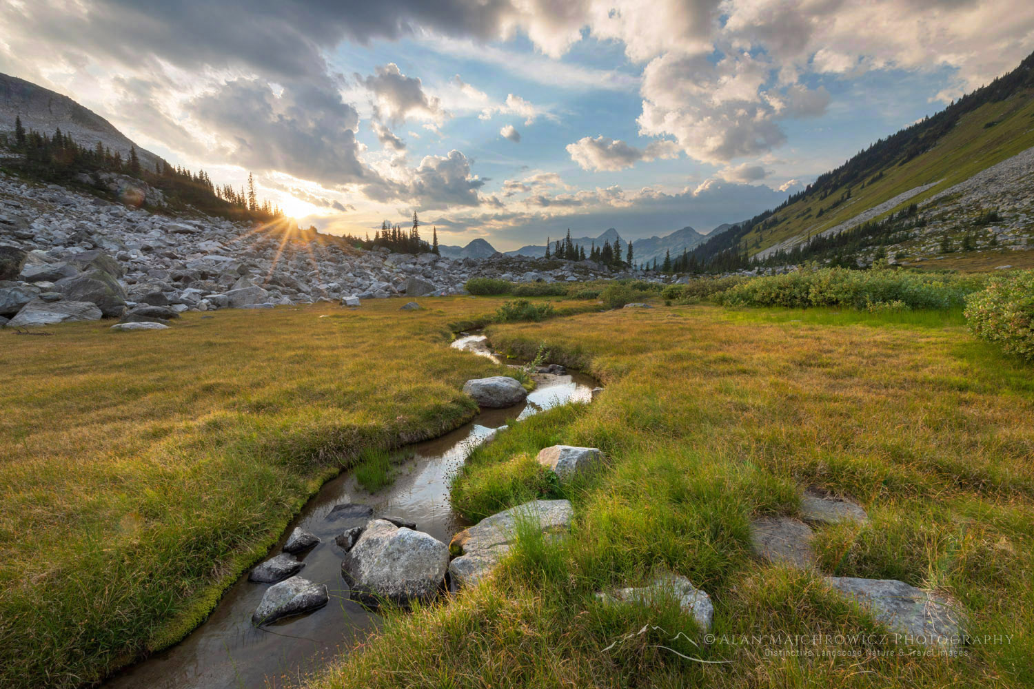 Dramatic clouds over alpine meadows below Mount Rohr. Coast Range, British Columbia #87148