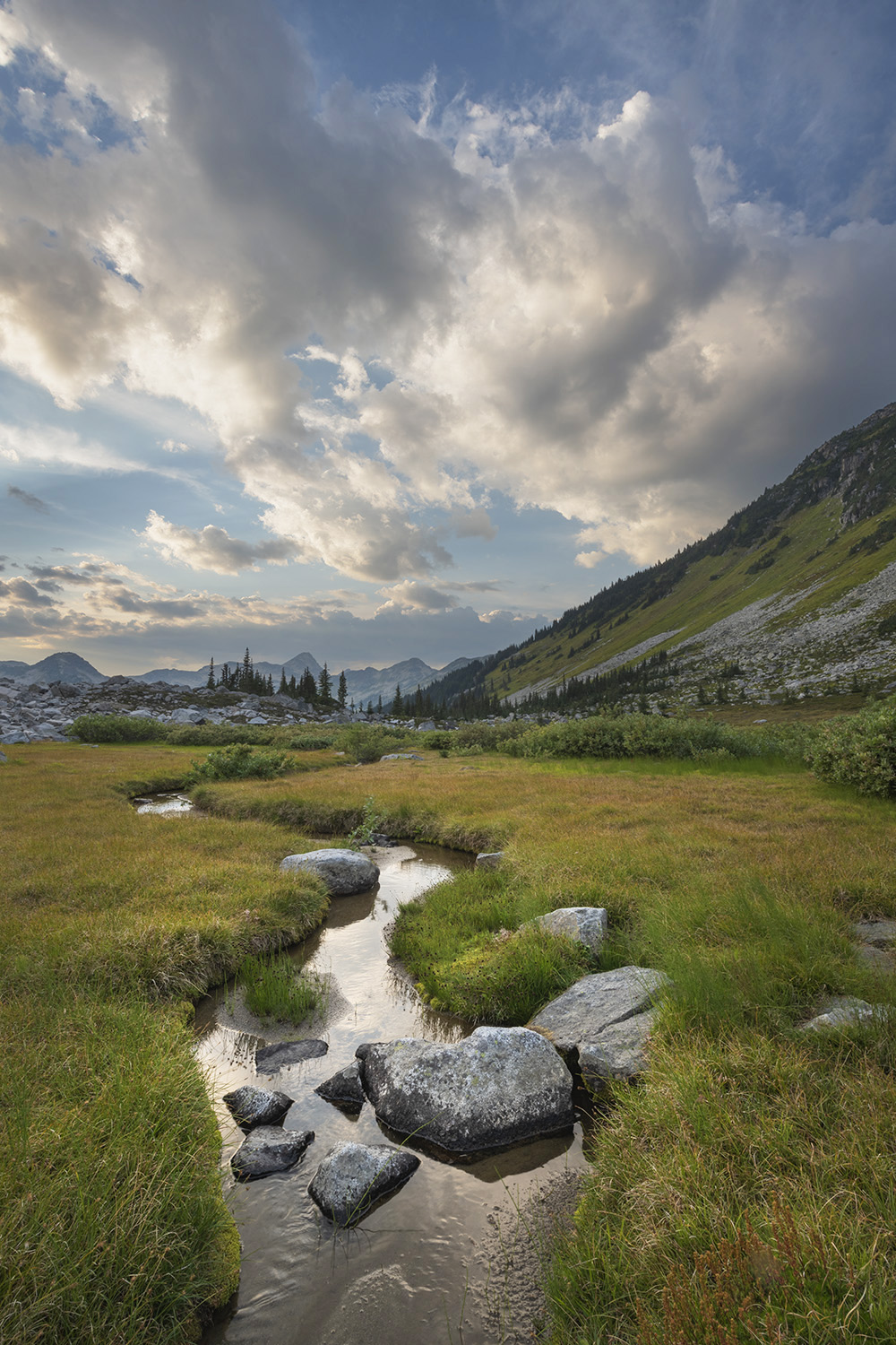 Dramatic clouds over alpine meadows below Mount Rohr. Coast Range, British Columbia #87155