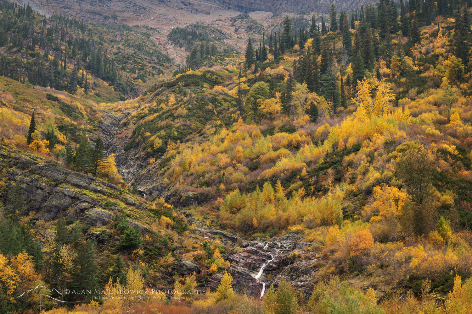 Autumn foliage Glacier National Park Montana #87327