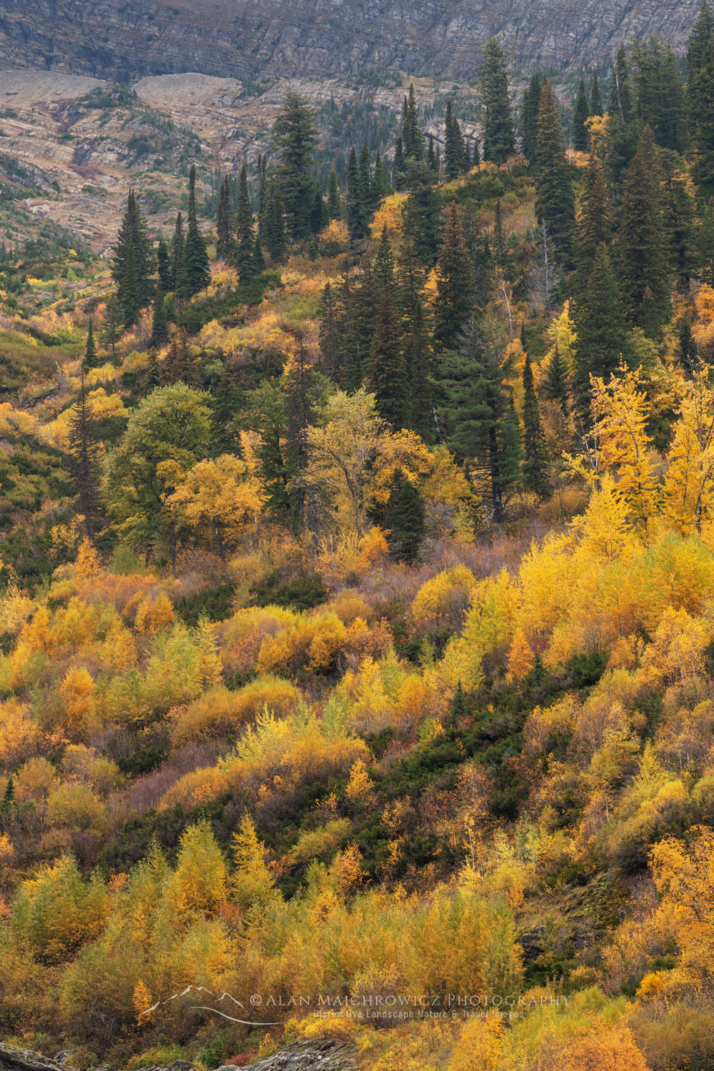 Autumn foliage Glacier National Park Montana #87330