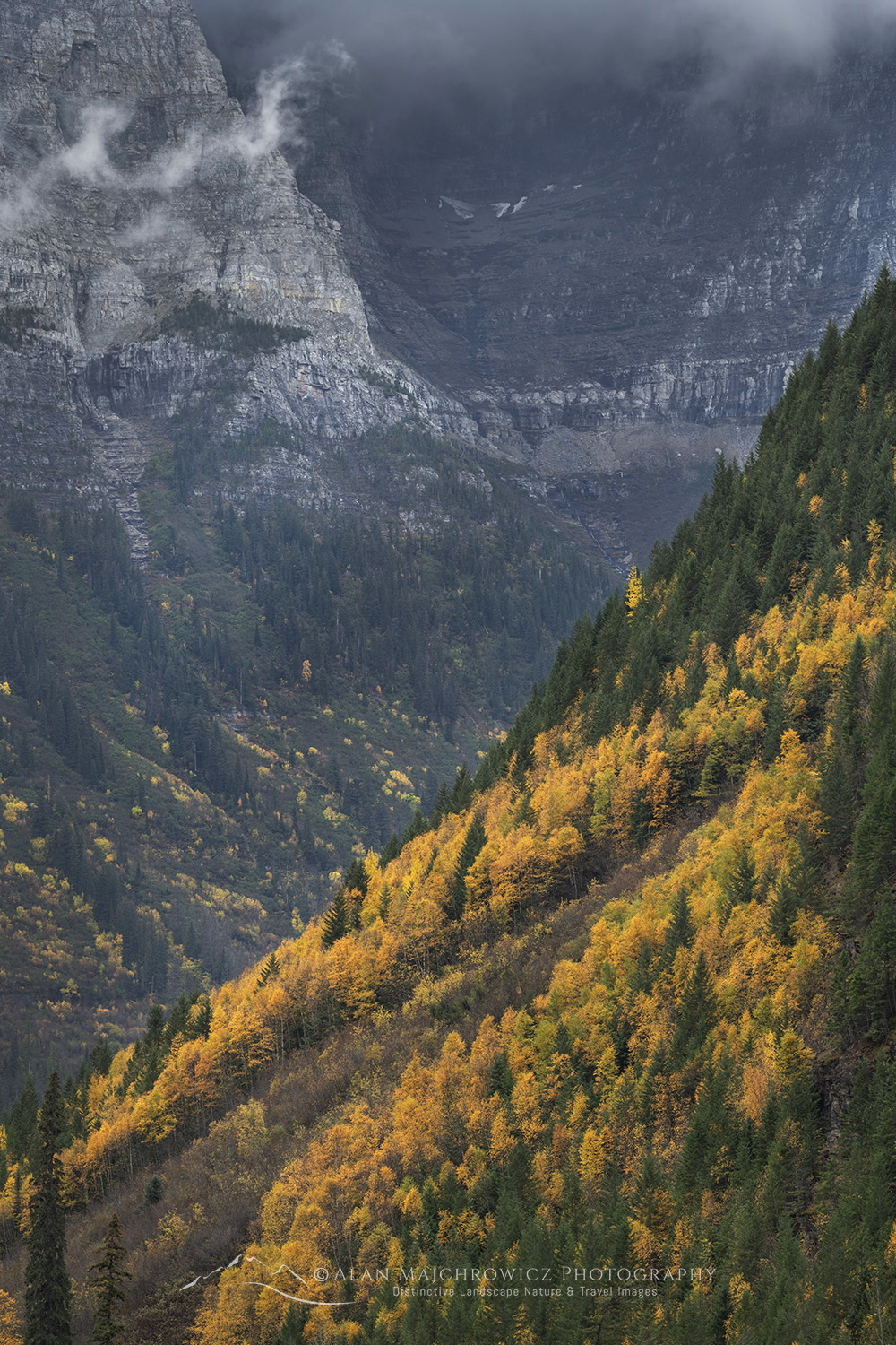 Autumn foliage along Going To The Sun Road, Glacier National Park #87336