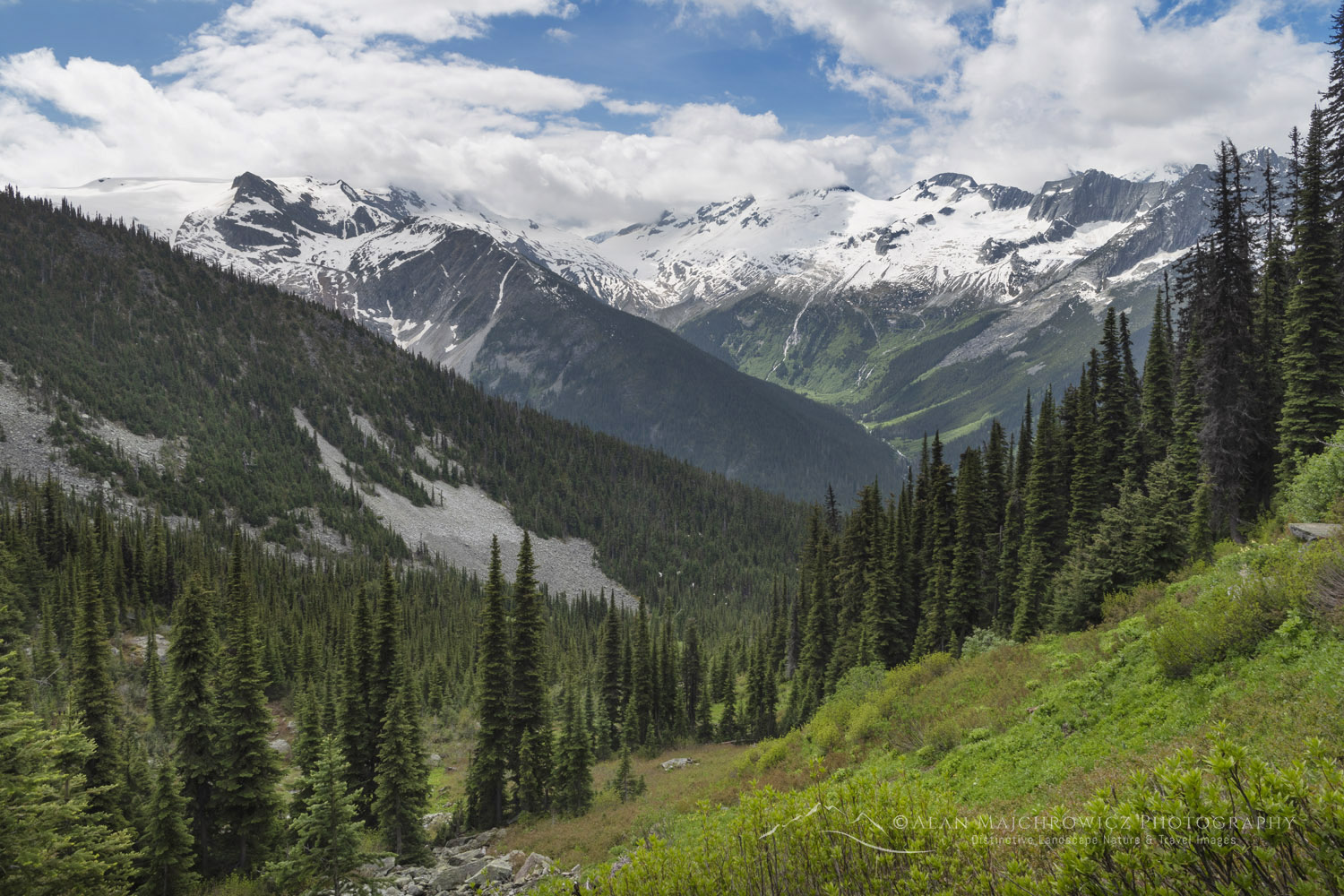 View of Illecillewaet Glacier and Valley from Avalanche Crest Trail. Glacier National Park, Selkirk Mountains, British Columbia #86018