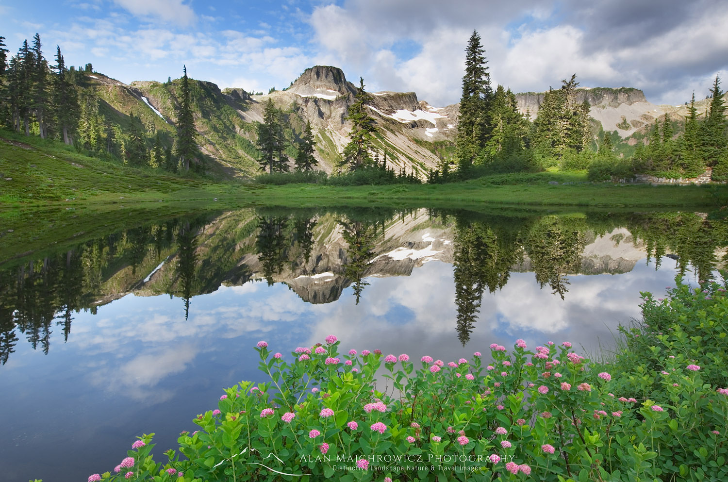 Table Mountain reflected in a small lake in Heather Meadows Recreation Area, North Cascades, Washington. In the foreground is Rosy Spiraea (Spiraea splendens) #54389