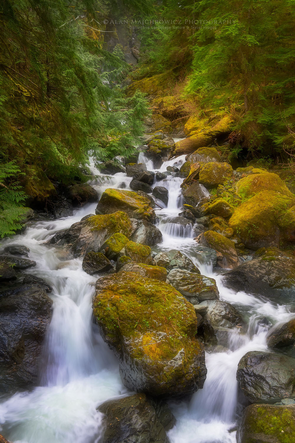 Hidden Creek. Baker Lake Trail, North Cascades Washington #65030