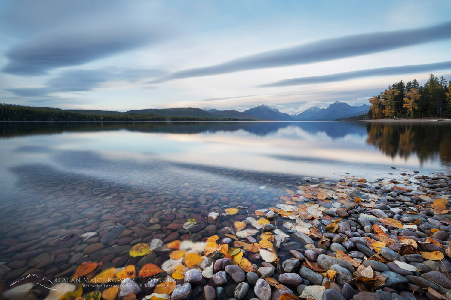 Autumn foliage along Lake McDonald. Glacier National Park, Montana #87558