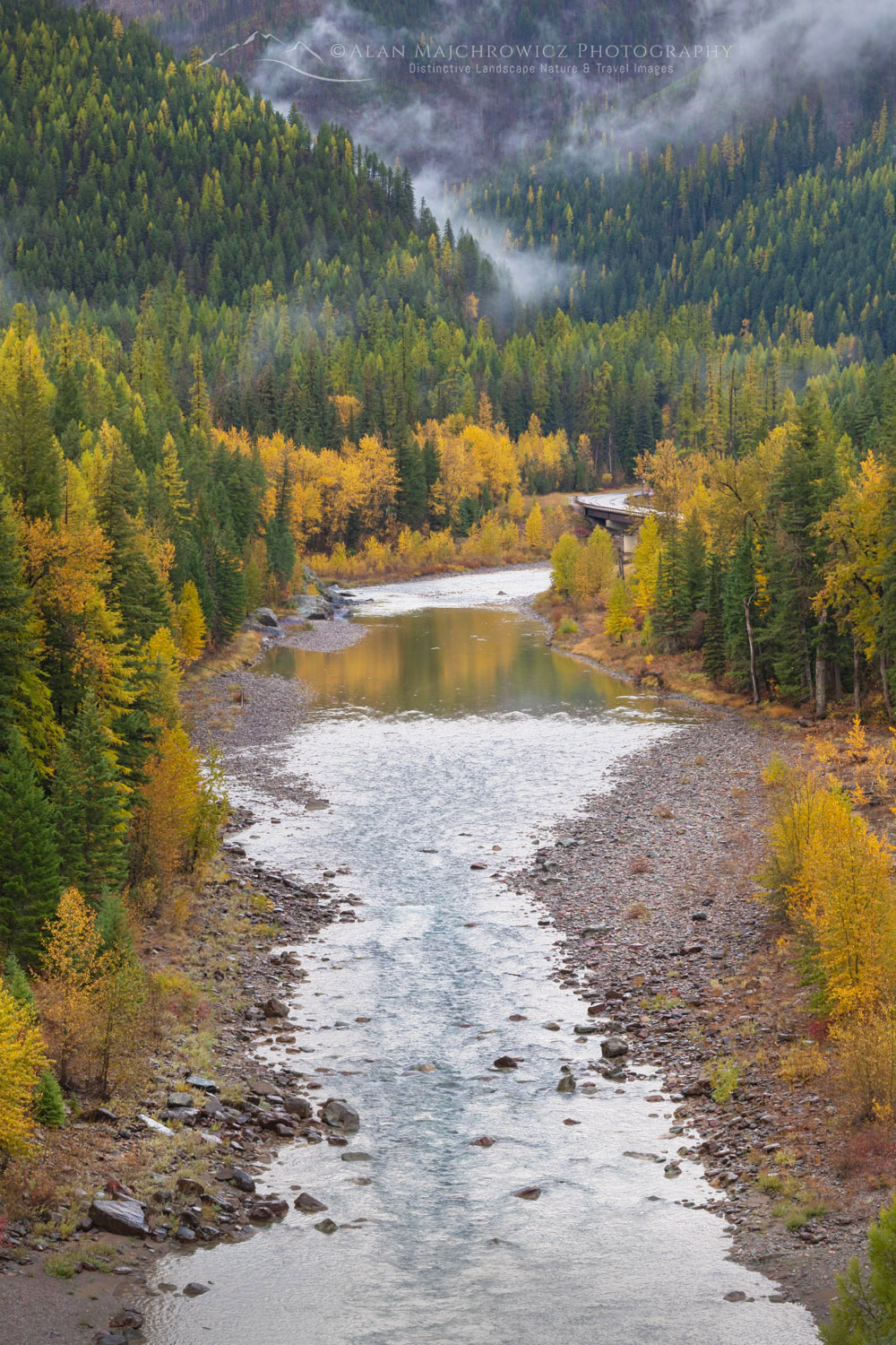 Fall foliage along the Middle Fork Flathead River. Glacier National Park, Montana #87604