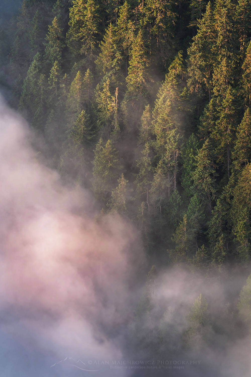 Fog in valley and slopes of Olympic Mountains. Olympic National Park Washington #71848