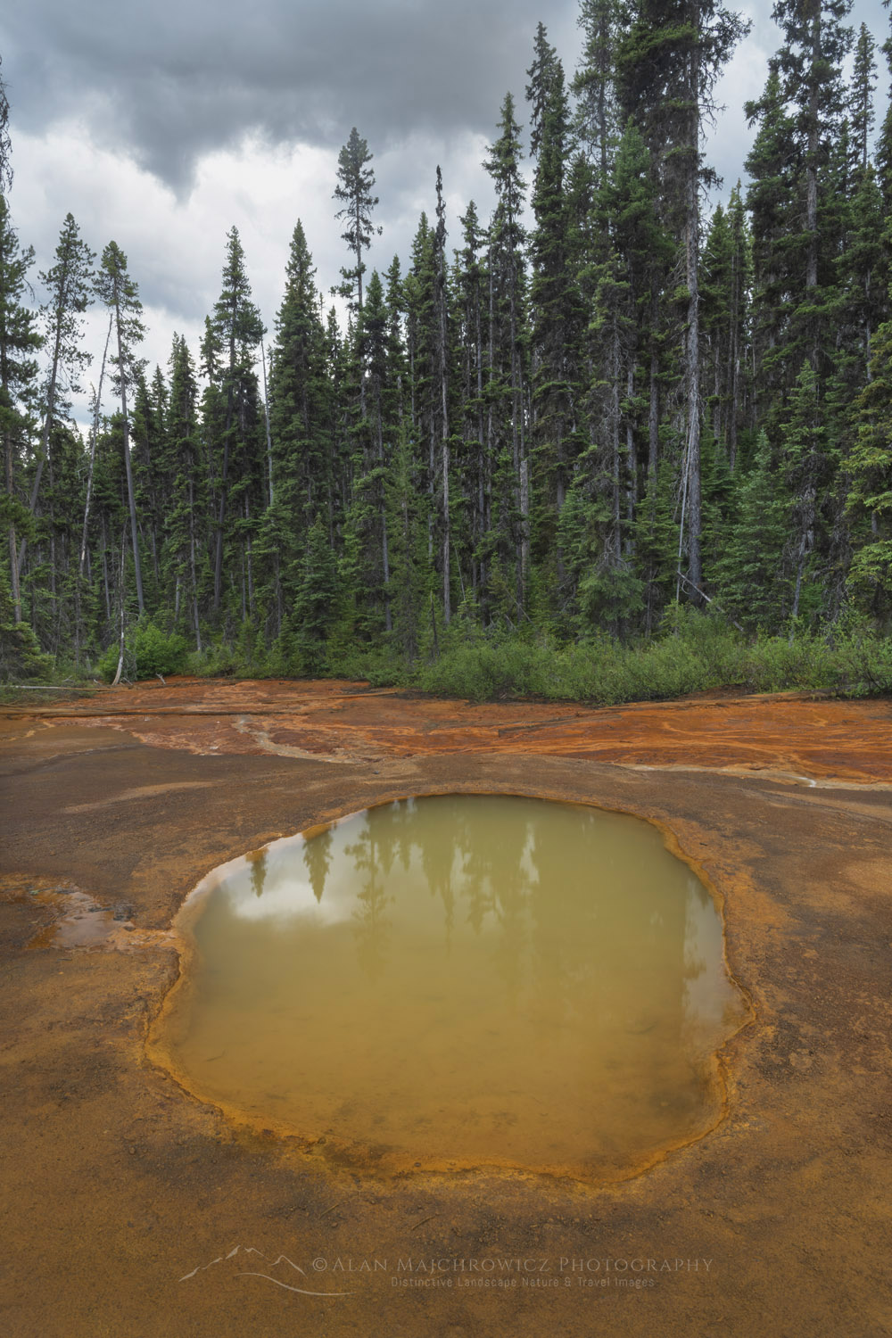 Paint Pots, three iron-rich mineral springs that stain the surrounding earth a vibrant ochre colour. Kootenay National Park, British Columbia #86356