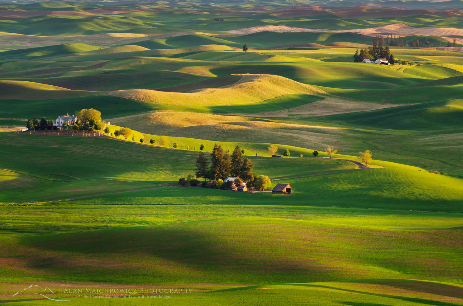 Farms set amidst the rolling hills of green wheat fields in the Palouse region of the Inland Empire of Washington #51760