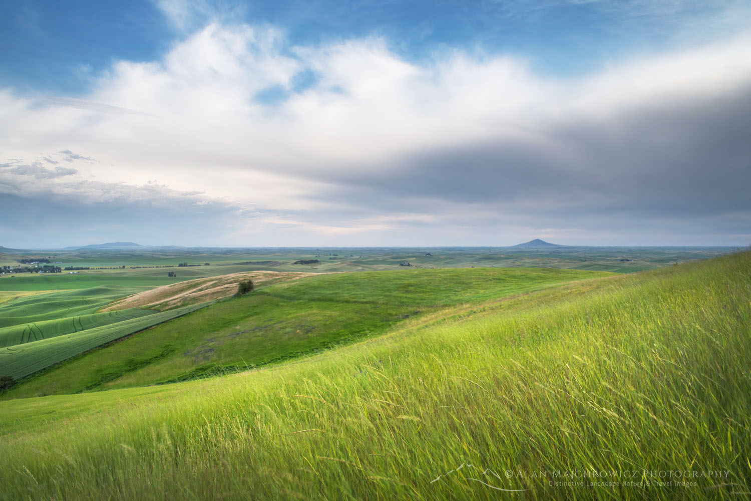 View of the Palouse from grassy hillside near Farmington Washington #68706