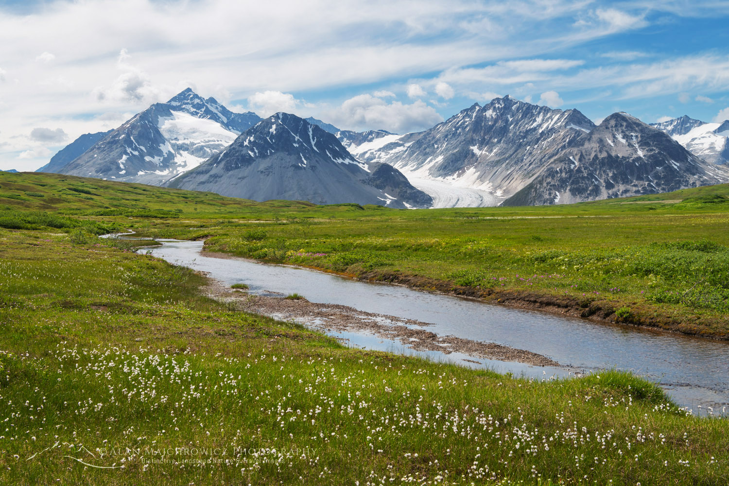 Samuel Glacier, seen from Chuck Creek Trail. Tatshenshini-Alsek Park, British Columbia #86870