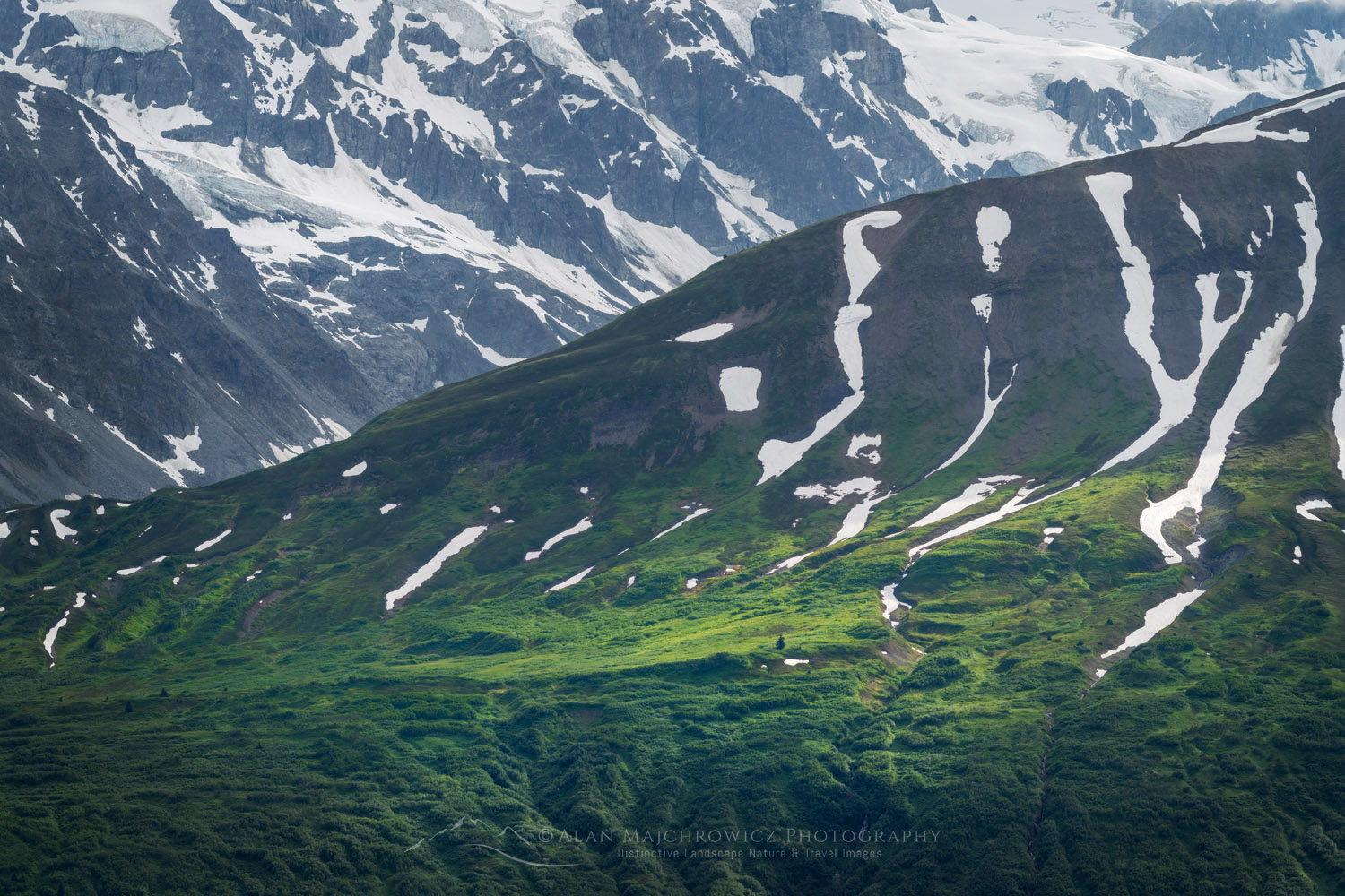 Alsek Range, southeasternmost subdivision of the Saint Elias Mountains. Tatshenshini-Alsek Park, British Columbia #86823