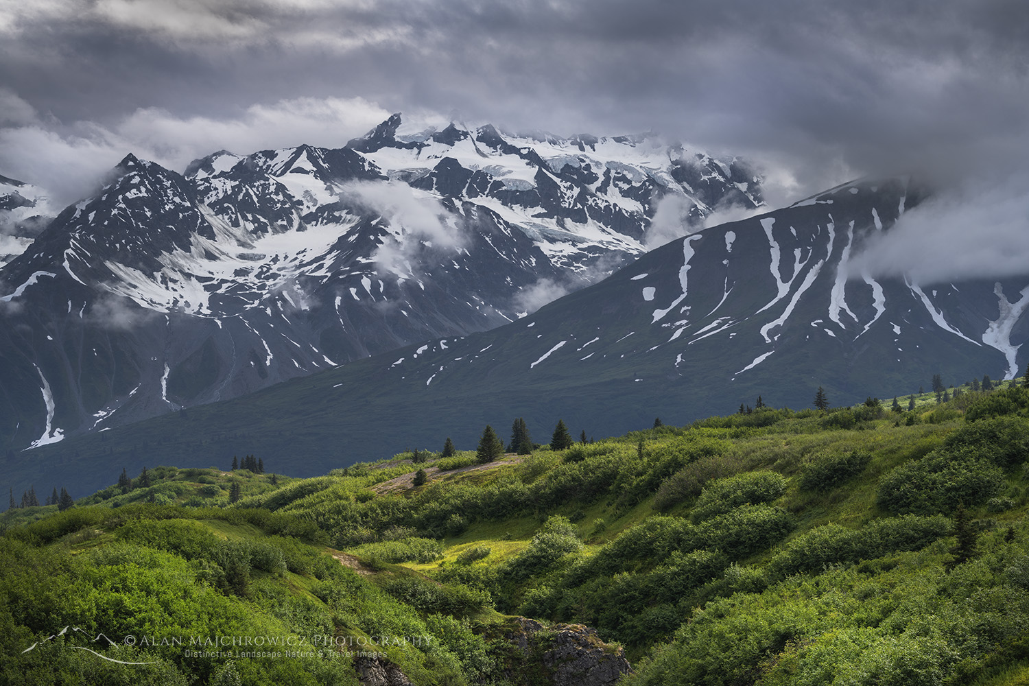 Alsek Range, southeasternmost subdivision of the Saint Elias Mountains. Tatshenshini-Alsek Park, British Columbia #86833