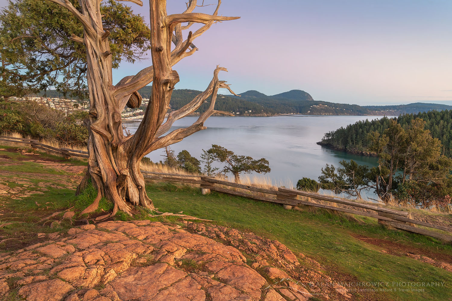 Washington Park Anacortes Washington #70647
