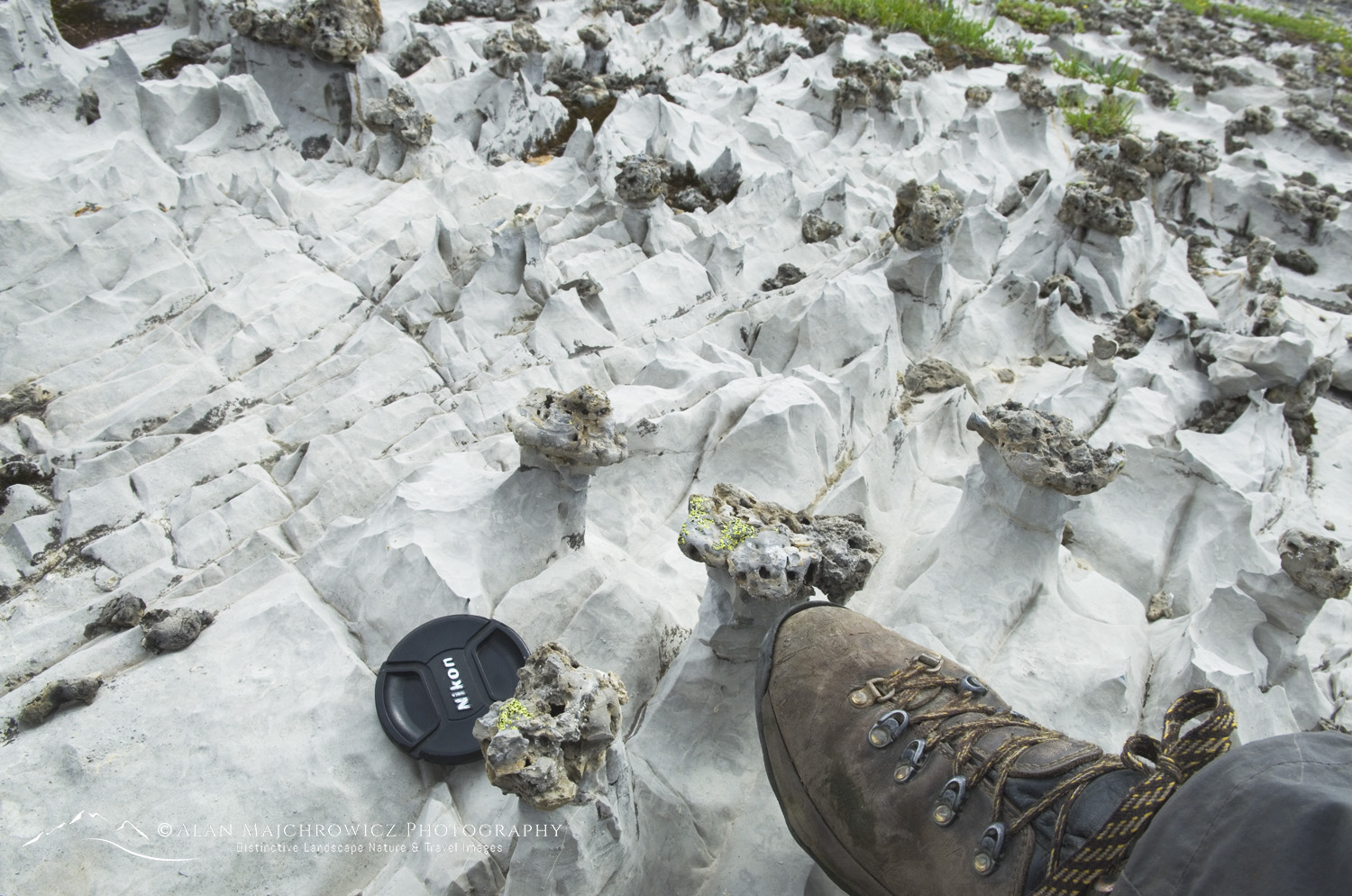 Sharp karst features in limestone, Height of the Rockies Provincial Park British Columbia
