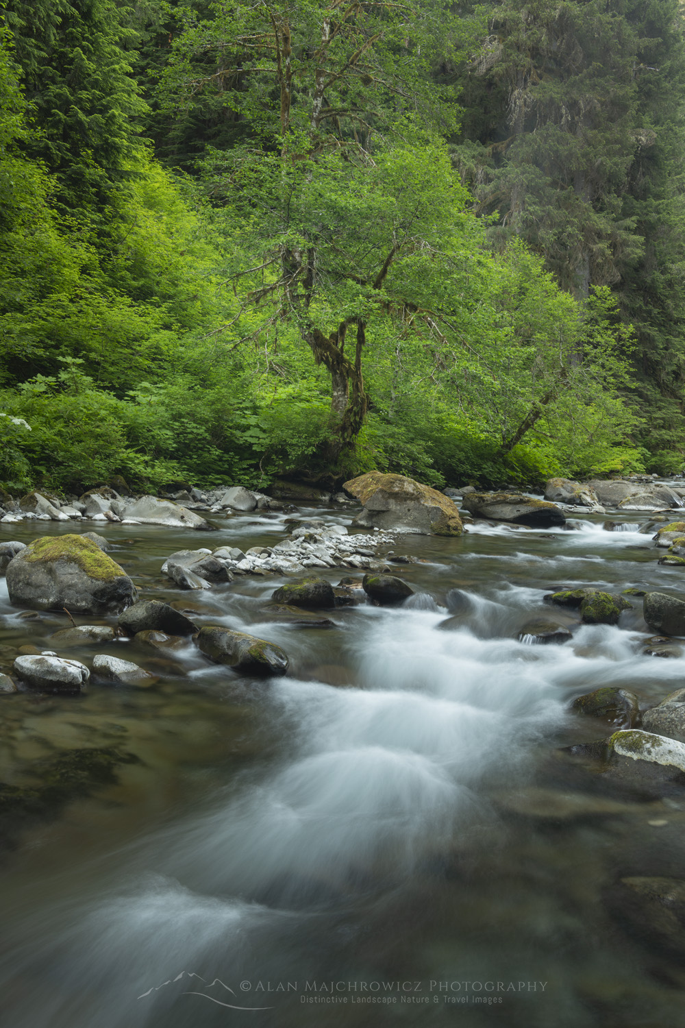 Sol Duc River Olympic National Park, Washington #87996