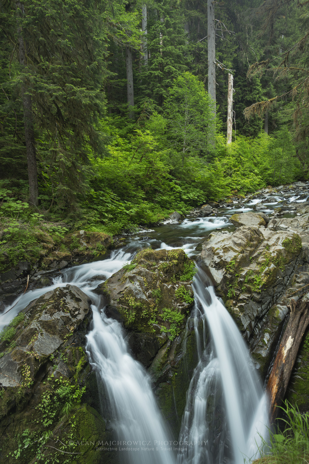 Sol Duc Falls Olympic National Park, Washington #88000