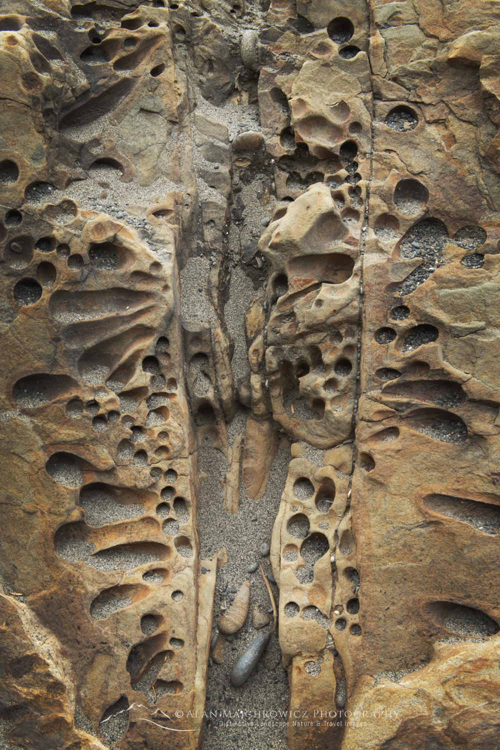 Tafoni rock patterns, Kalaloch Beach. Olympic National Park, Washington 88121