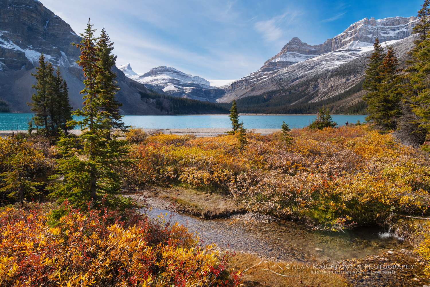 Autumn foliage along Bow Lake, with Mount Jimmy Simpson in the distance. Banff National Park. Alberta, Canada #88629