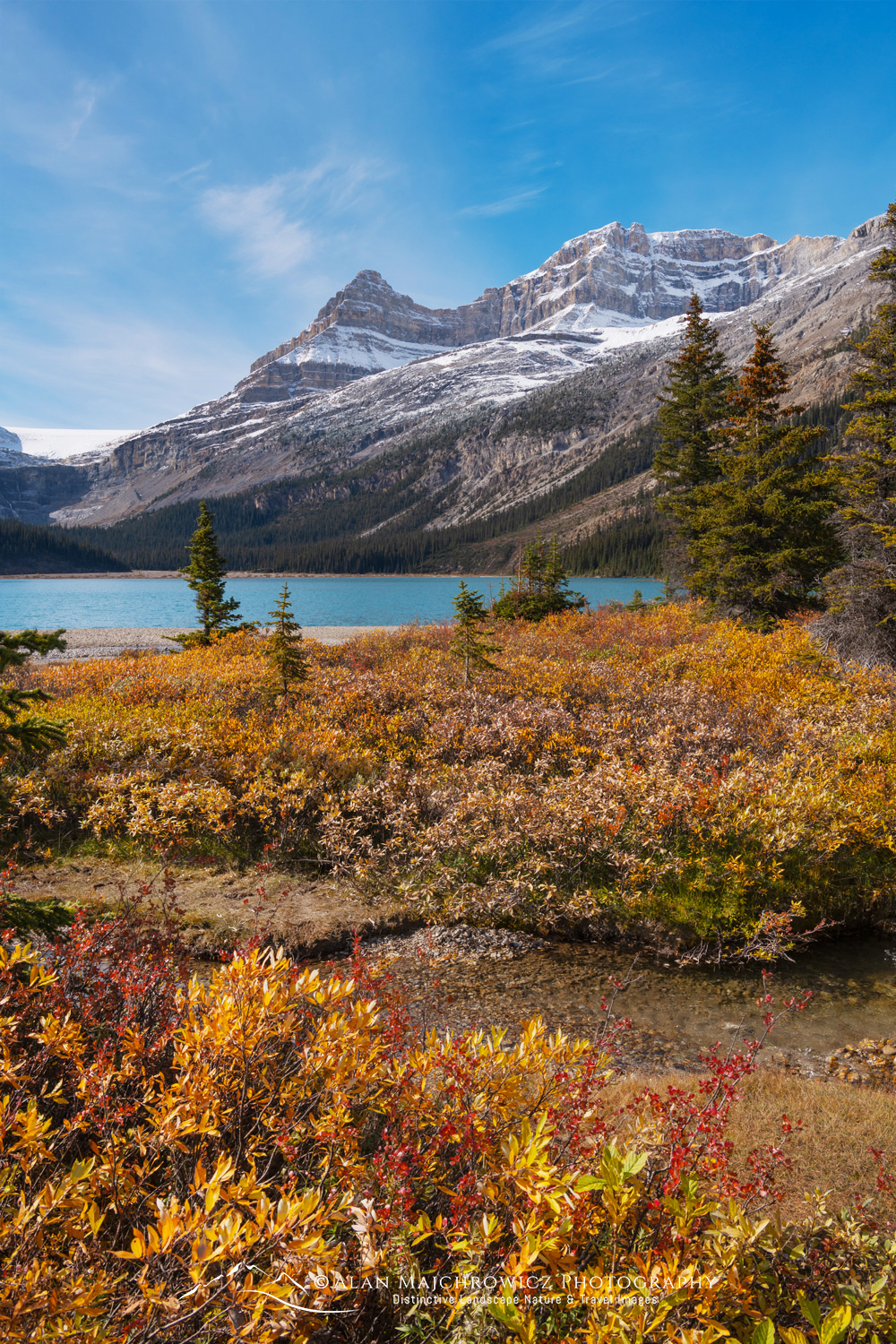Autumn foliage along Bow Lake, with Mount Jimmy Simpson in the distance. Banff National Park. Alberta, Canada #88631