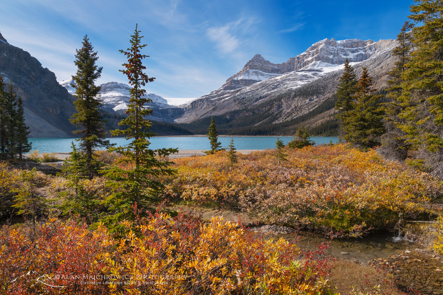 Autumn foliage along Bow Lake, with Mount Jimmy Simpson in the distance. Banff National Park. Alberta, Canada #86632
