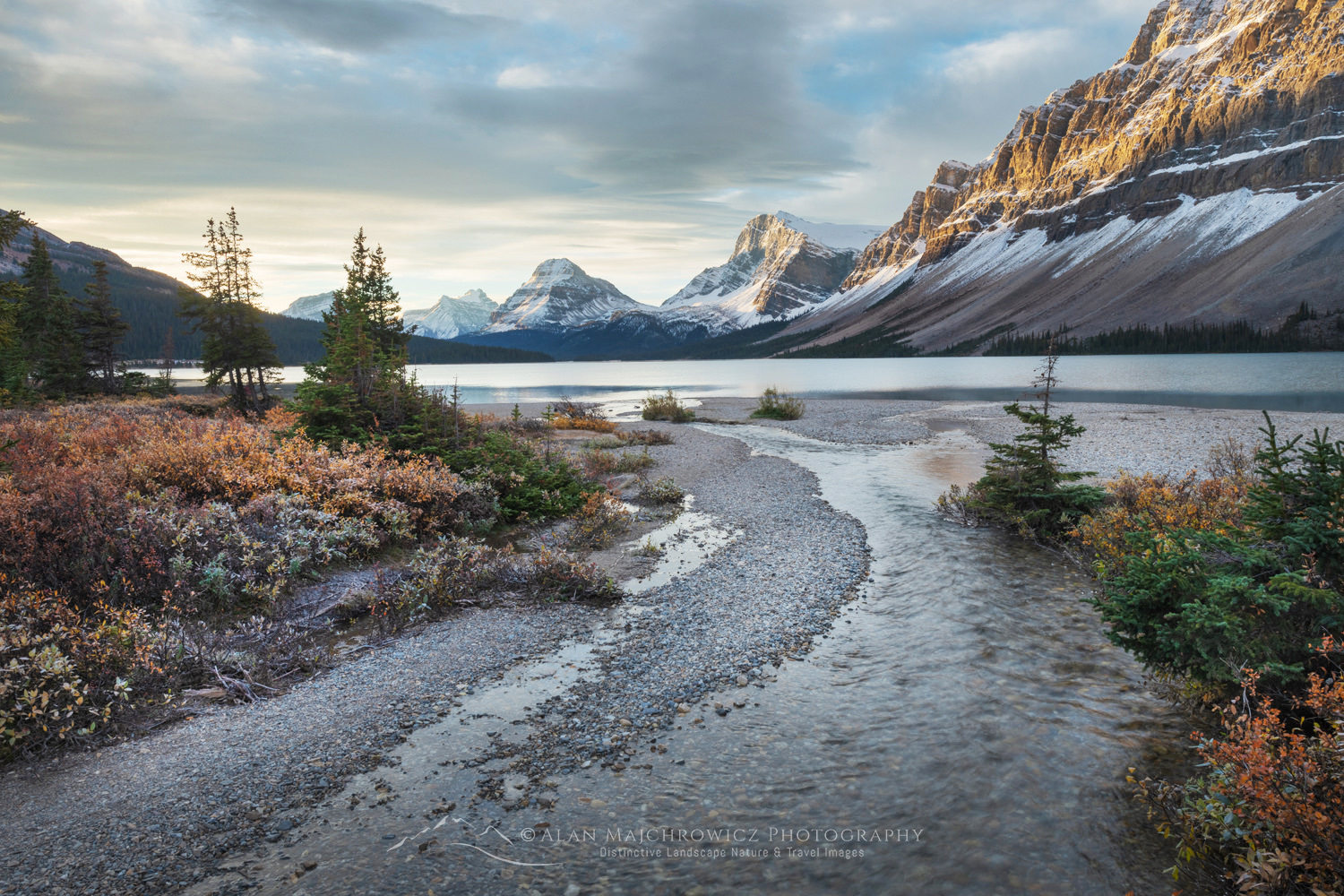Sunrise over Bow Lake, with Mount Hector (L), Bow Peak (center), and Crowfoot Glacier (R) in the distance. Banff National Park. Alberta, Canada #88755