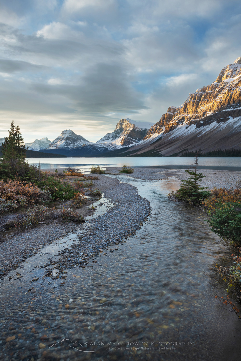 Sunrise over Bow Lake, with Mount Hector (L), Bow Peak (center), and Crowfoot Glacier (R) in the distance. Banff National Park. Alberta, Canada #88758
