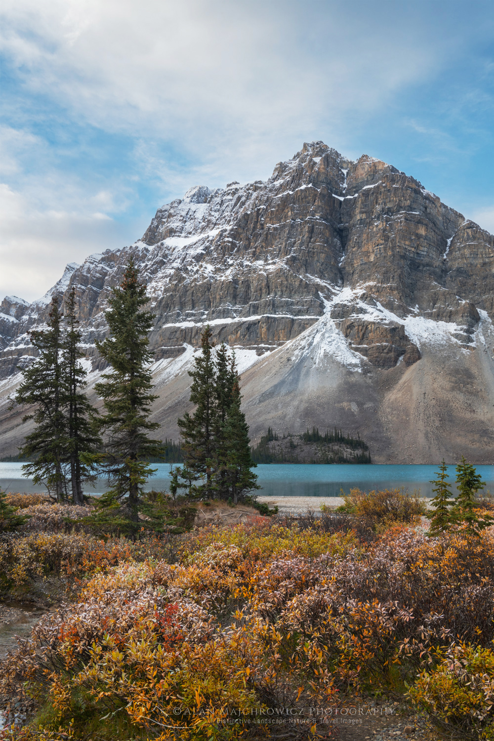 Autumn foliage along Bow Lake, with Crowfoot Mountain in the distance. Banff National Park. Alberta, Canada #88789