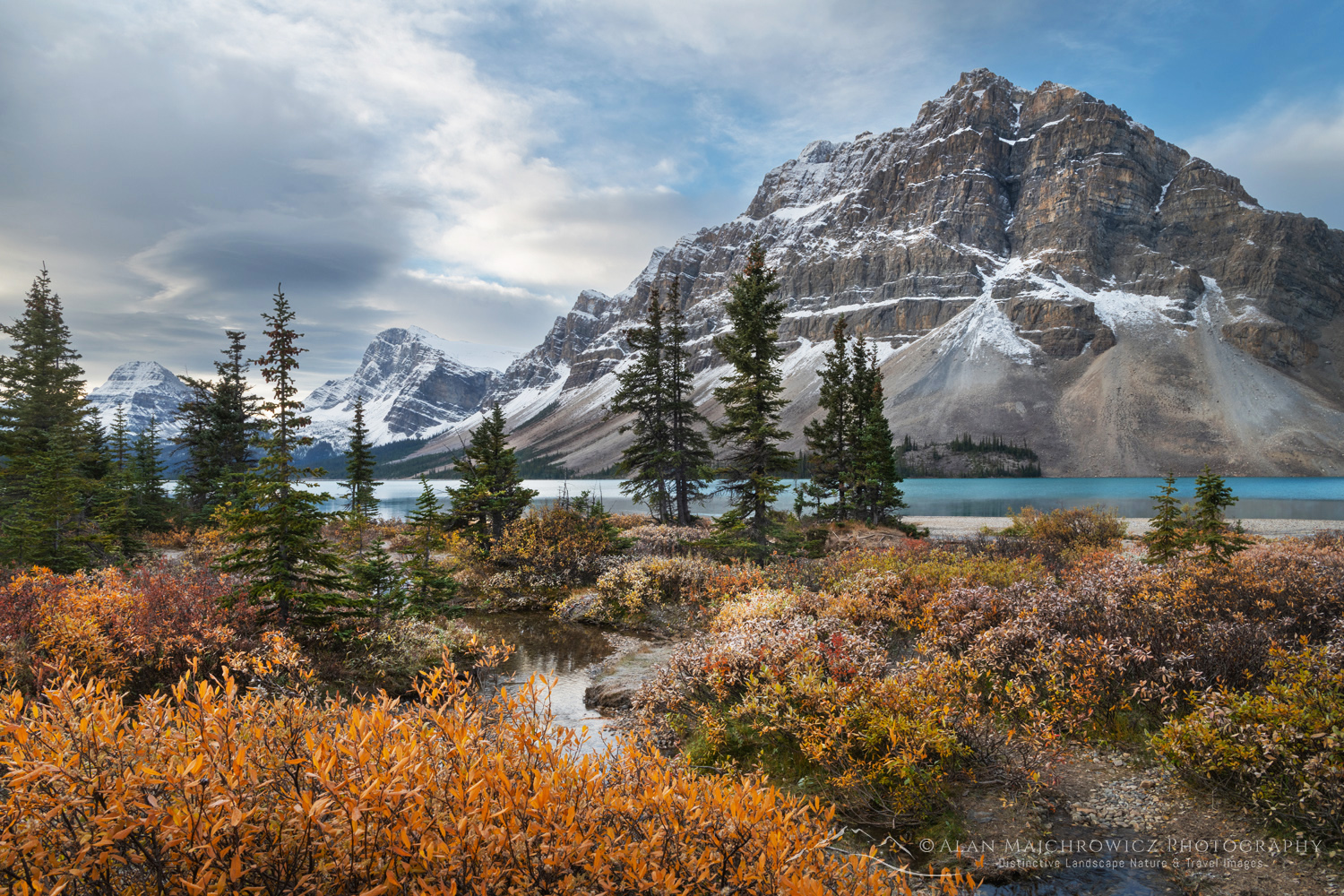 Autumn foliage along Bow Lake, with Crowfoot Mountain in the distance. Banff National Park. Alberta, Canada #88791