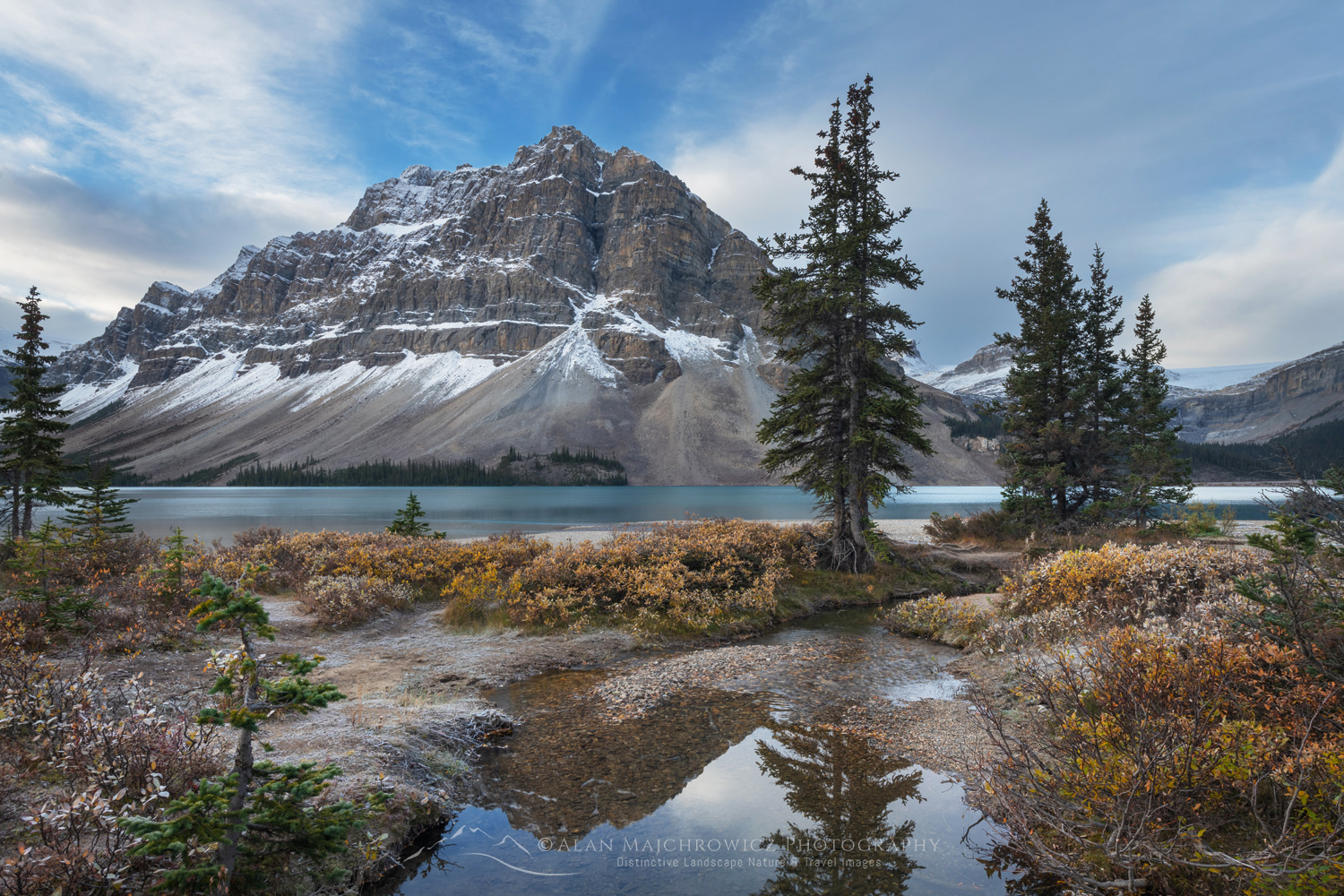 Autumn foliage along Bow Lake, with Crowfoot Mountain in the distance. Banff National Park. Alberta, Canada #88800