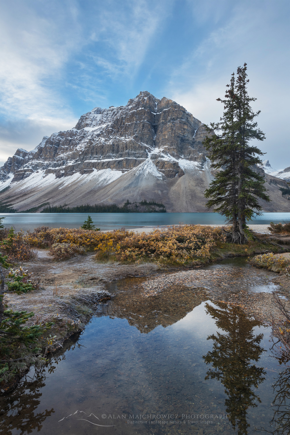 Autumn foliage along Bow Lake, with Crowfoot Mountain in the distance. Banff National Park. Alberta, Canada #88802