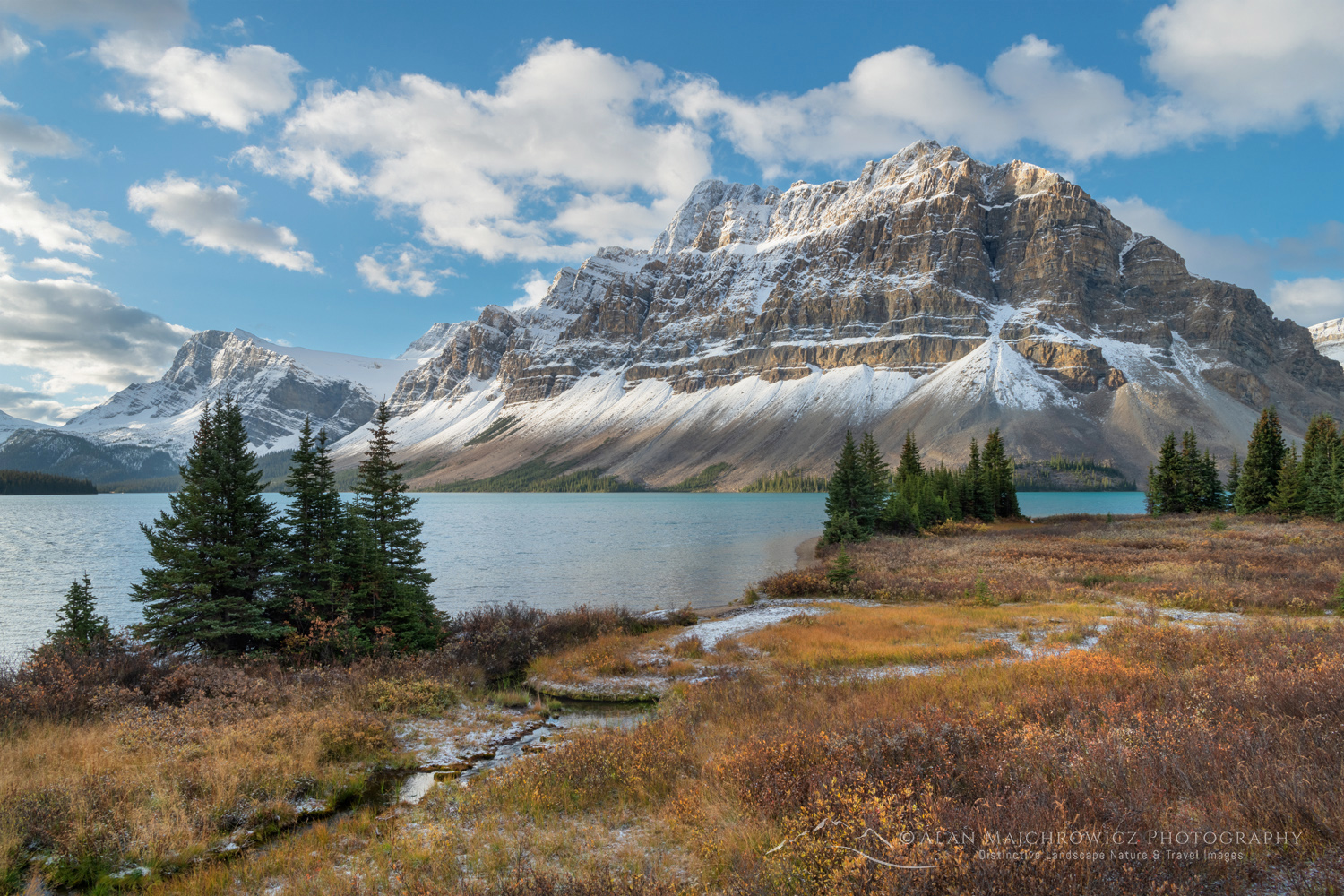 Autumn foliage along Bow Lake, with Crowfoot Mountain in the distance. Banff National Park. Alberta, Canada #88912
