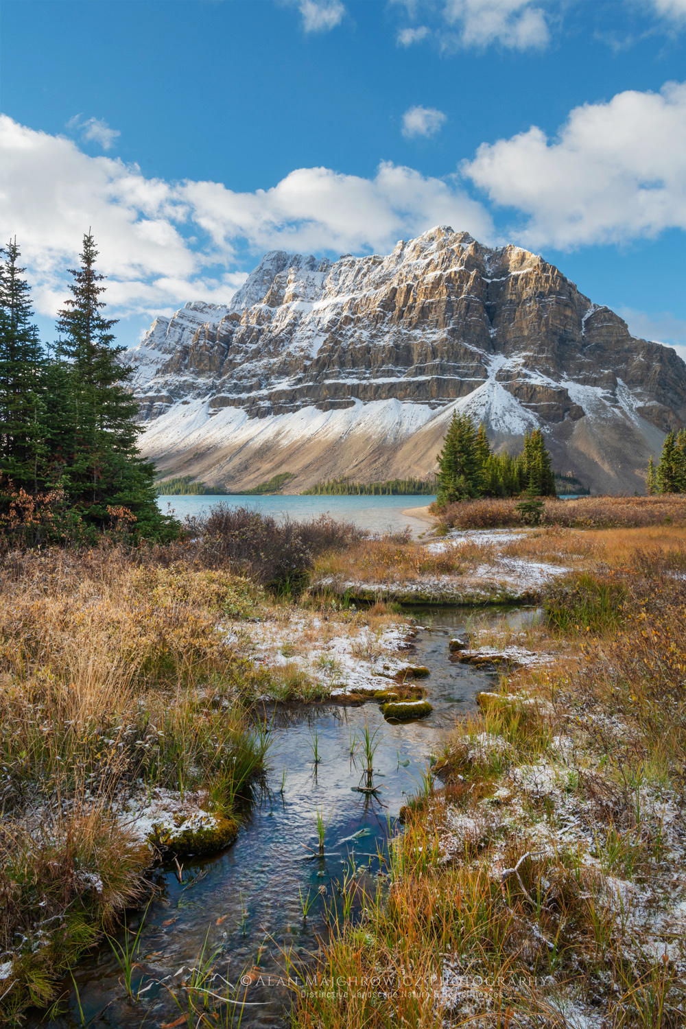 Autumn foliage along Bow Lake, with Crowfoot Mountain in the distance. Banff National Park. Alberta, Canada #88914