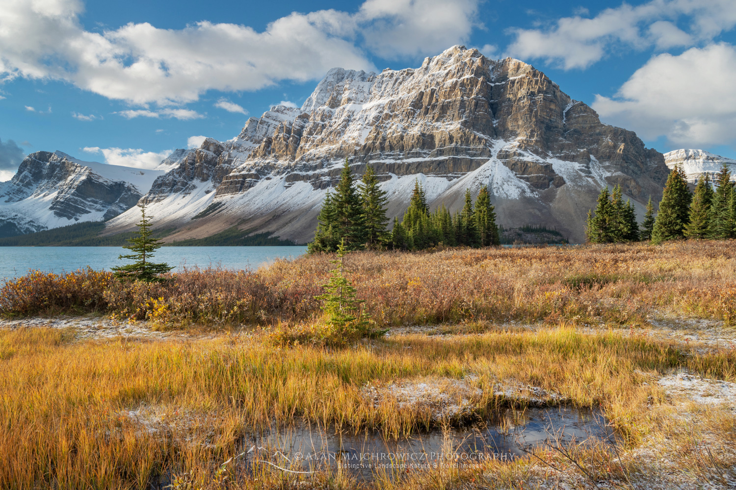 Autumn foliage along Bow Lake, with Crowfoot Mountain in the distance. Banff National Park. Alberta, Canada #88924