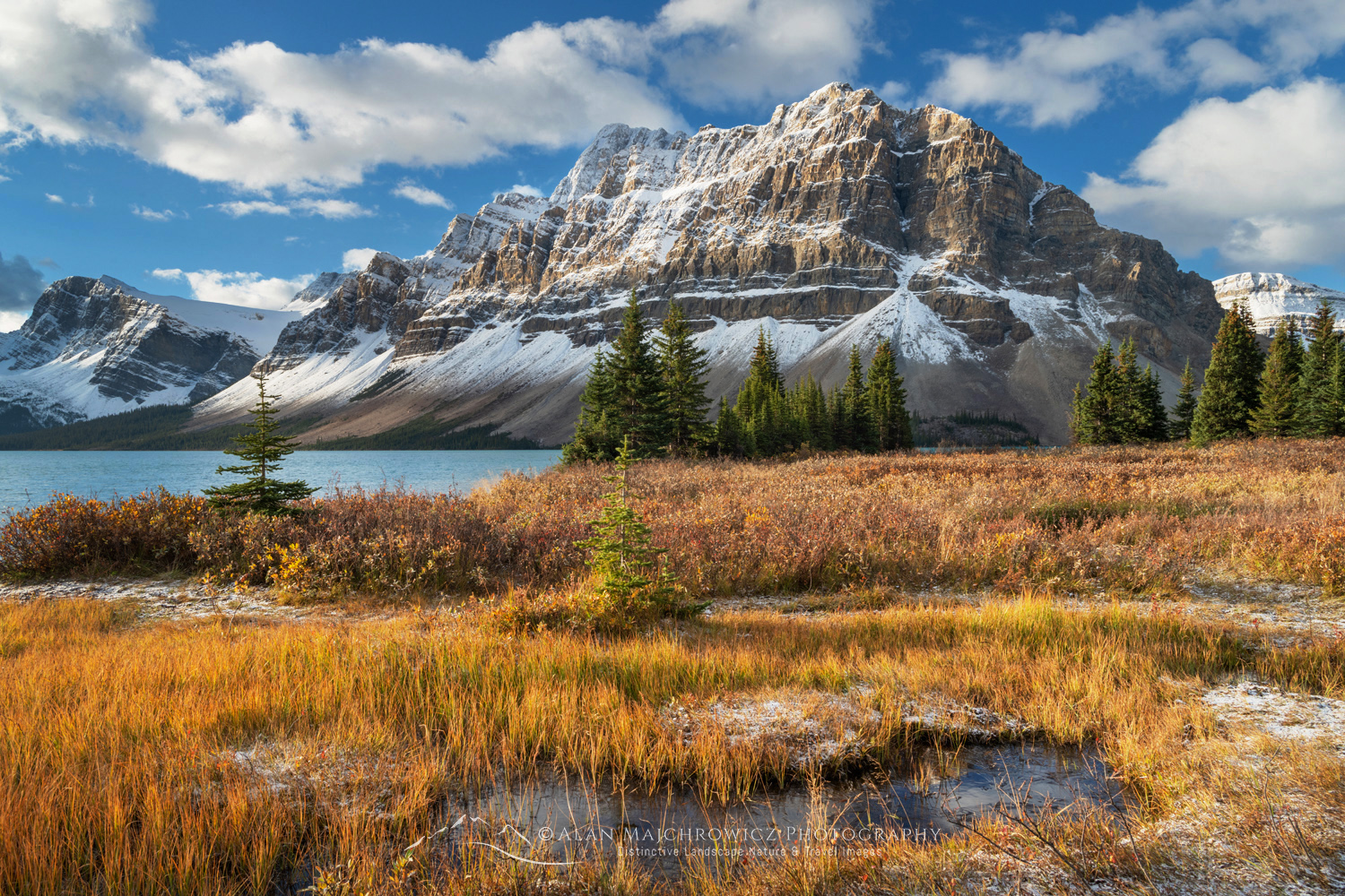 Autumn foliage along Bow Lake, with Crowfoot Mountain in the distance. Banff National Park. Alberta, Canada #88924 Canadian Rockies Photography