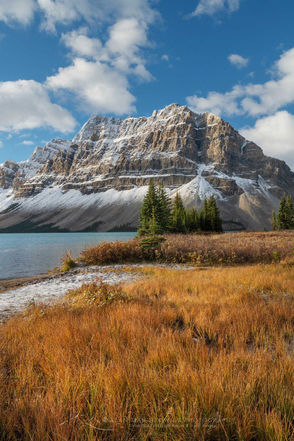 Autumn foliage along Bow Lake, with Crowfoot Mountain in the distance. Banff National Park. Alberta, Canada #88928