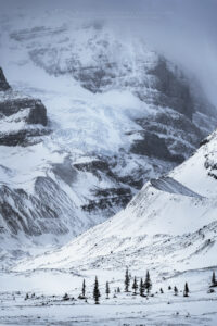 Glacier on Mount Andromeda in winter, seen from Icefields Parkway. Jasper National Park Alberta Canada #82187
