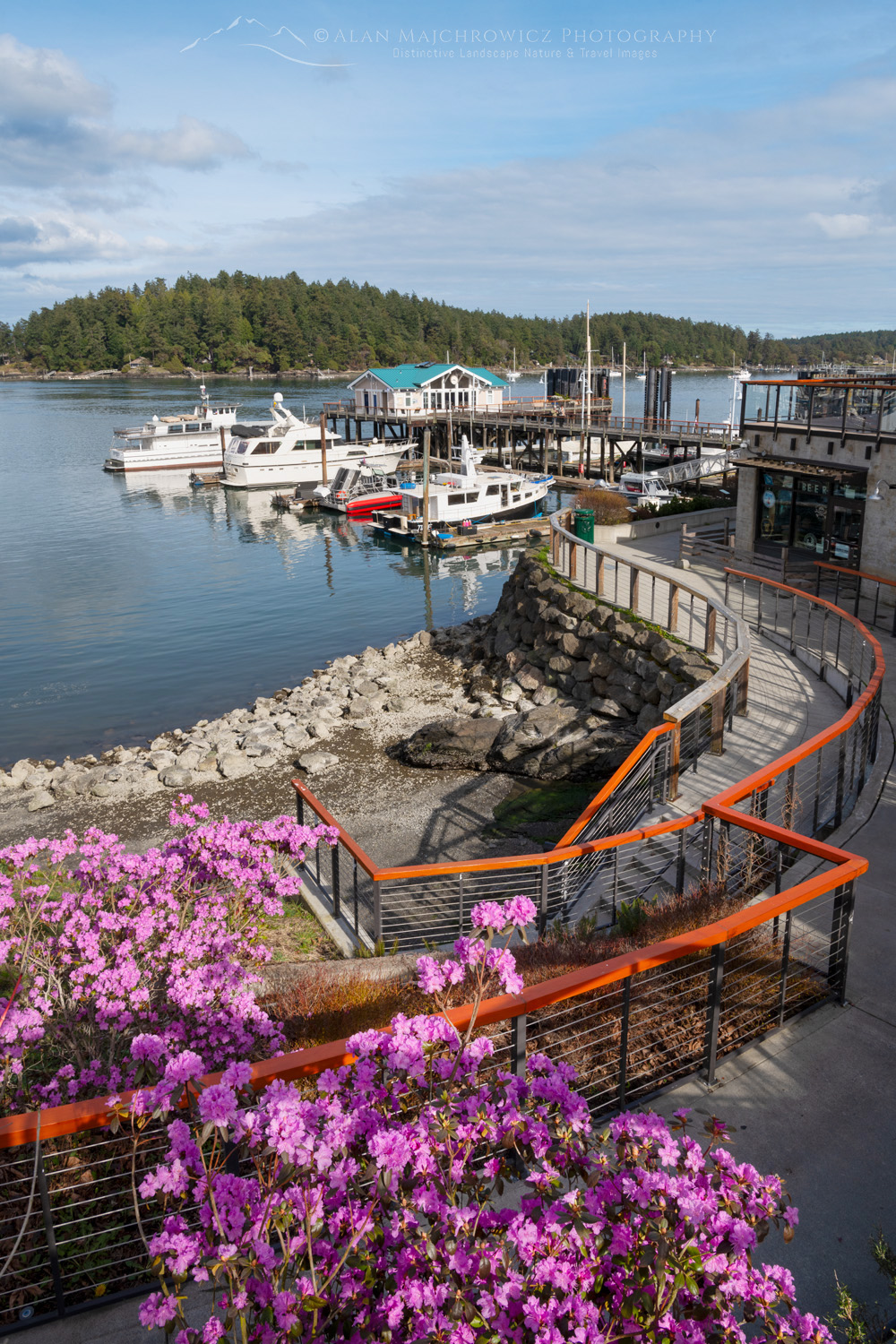 Friday Harbor in the San Juan Islands of Washington State #87744