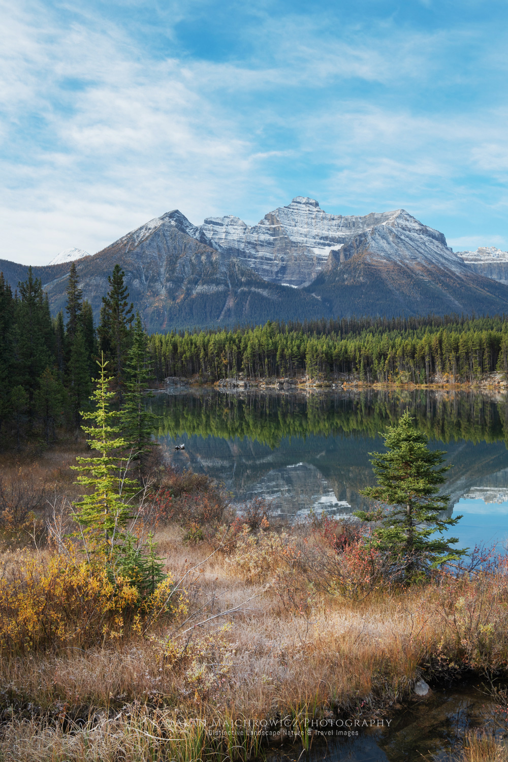 Autumn foliage along Herbert Lake, Banff National Park. Alberta, Canada #88814