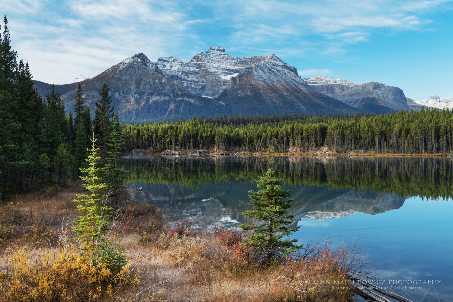 Autumn foliage along Herbert Lake, Banff National Park. Alberta, Canada #88815