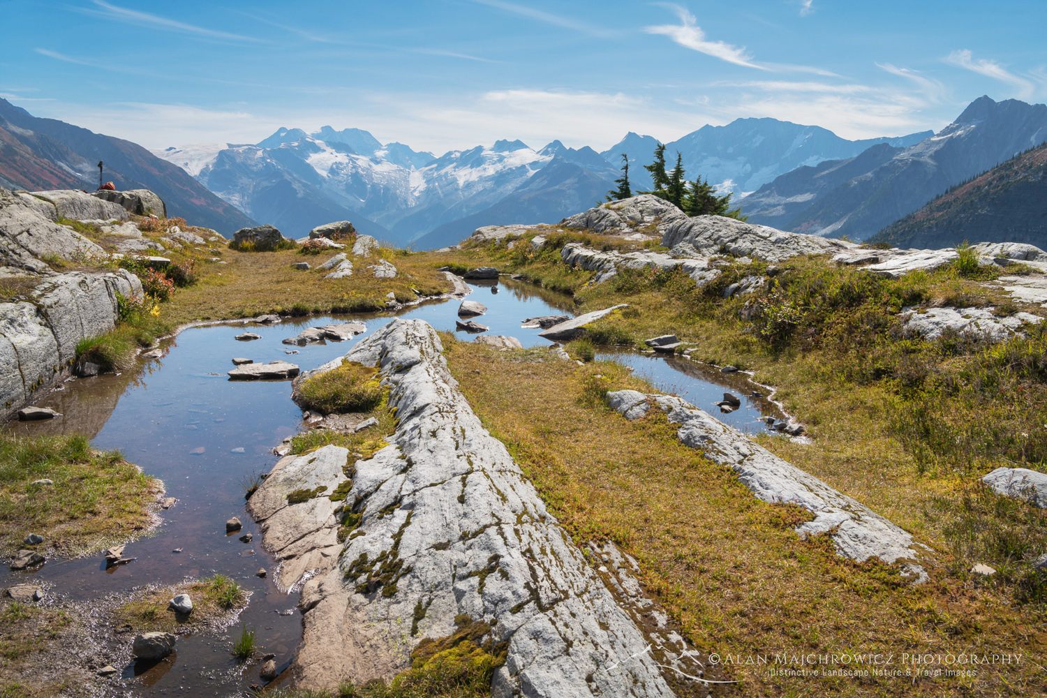 View south from Hermit Meadows towards the glaciers at the head of the Illecillewaet Valley. Glacier National Park, British Columbia #88379