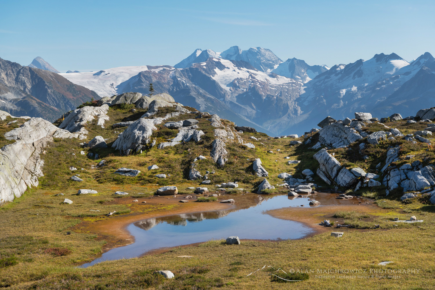 View south from Hermit Meadows towards the glaciers at the head of the Illecillewaet Valley. Glacier National Park, British Columbia #88392