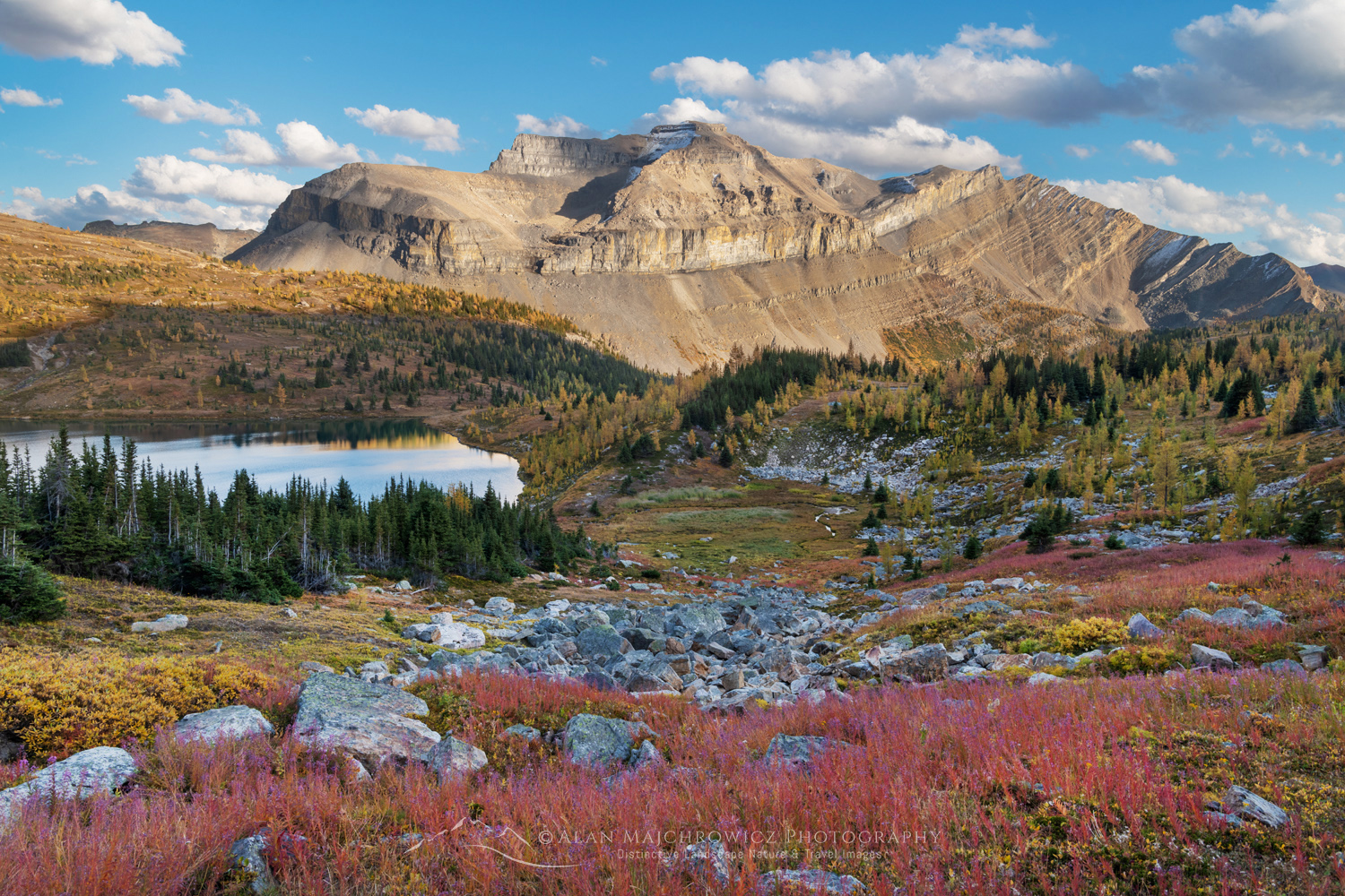Fall colors in meadows above Hidden Lake. Redoubt Mountain is in the distance. Banff National Park, Alberta, Canada #88454