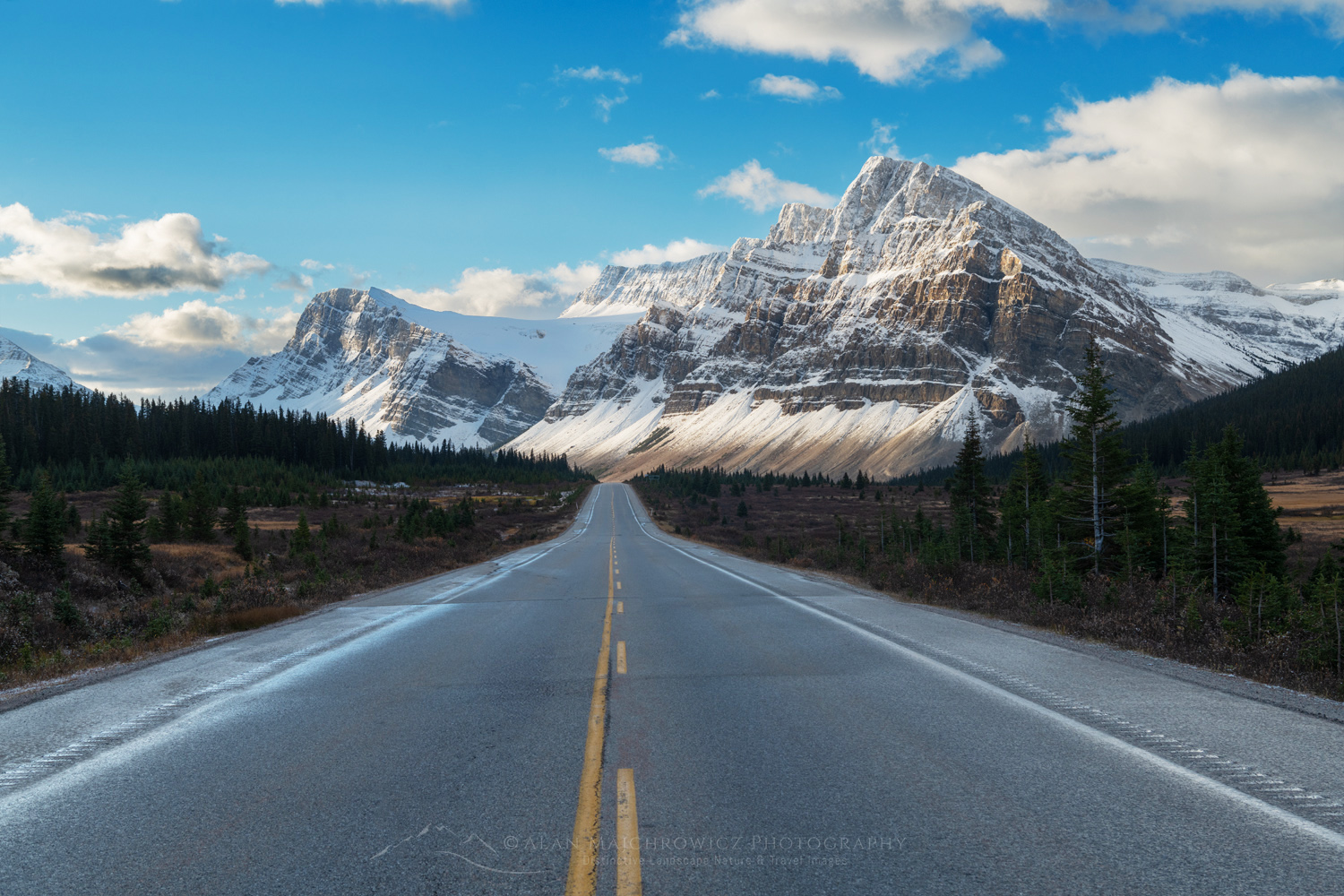 Icefields Parkway at Bow Summit. Crowfoot Mountain is in the distance. Banff National Park. Alberta, Canada #88889