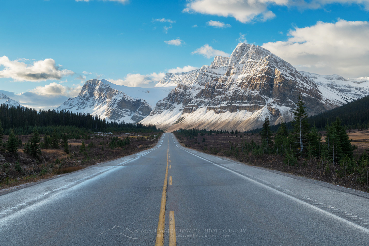 Icefields Parkway at Bow Summit. Crowfoot Mountain is in the distance. Banff National Park. Alberta, Canada #88889