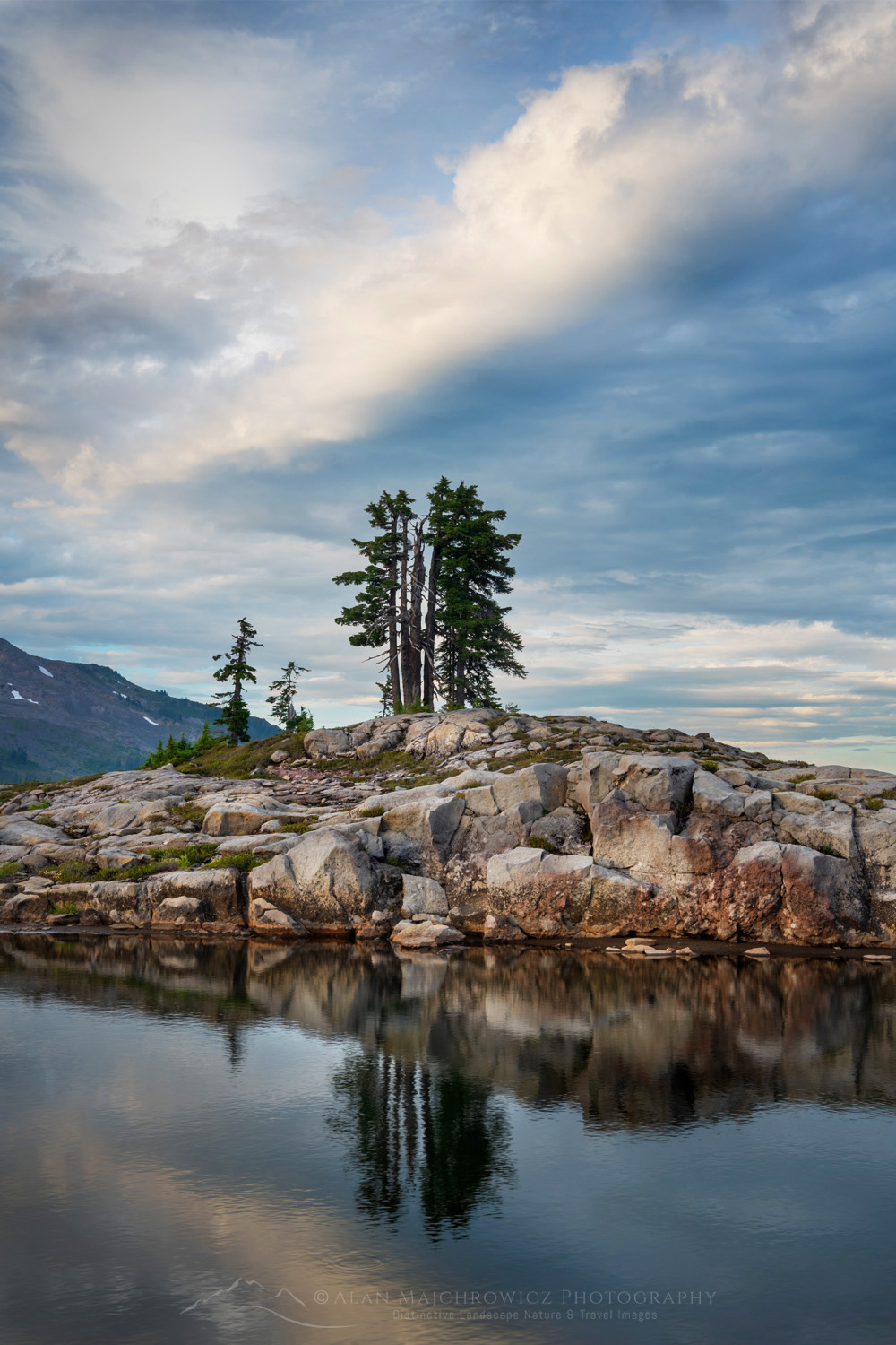 Reflection in a tarn in the alpine meadows of Mt. Baker National Recreation Area. North Cascades, Washington #88274