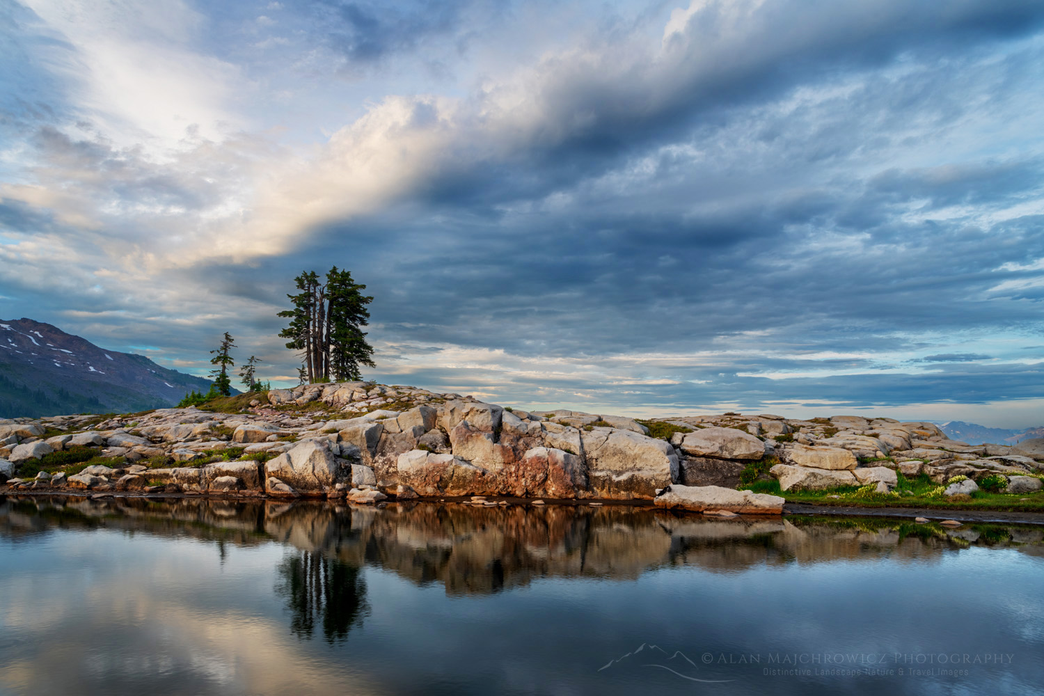 Reflection in a tarn in the alpine meadows of Mt. Baker National Recreation Area. North Cascades, Washington #88276