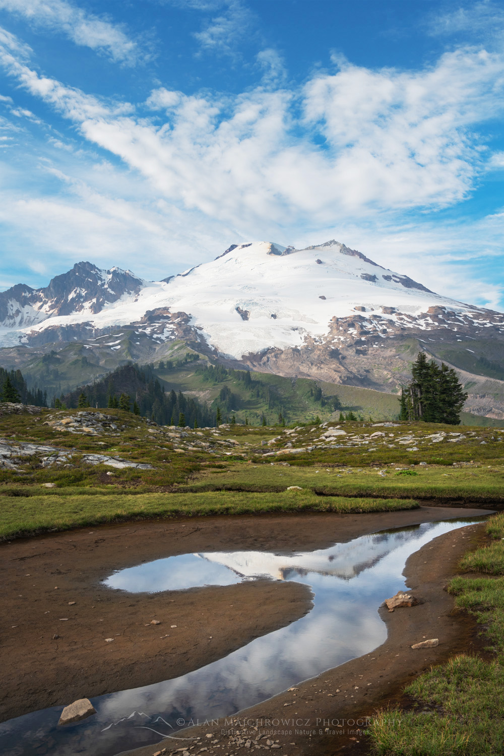 Mount Baker's south face reflected in a tarn in the alpine meadows of Mt. Baker National Recreation Area. North Cascades, Washington #88249